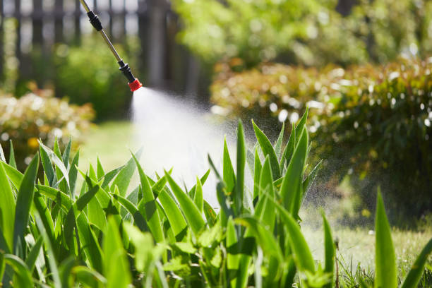 24/7 Emergency Bed Bug Control experts in Martin, SD