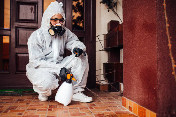 Reliable Bed Bug Control contractor in Martin, SD by Nex Pest Control